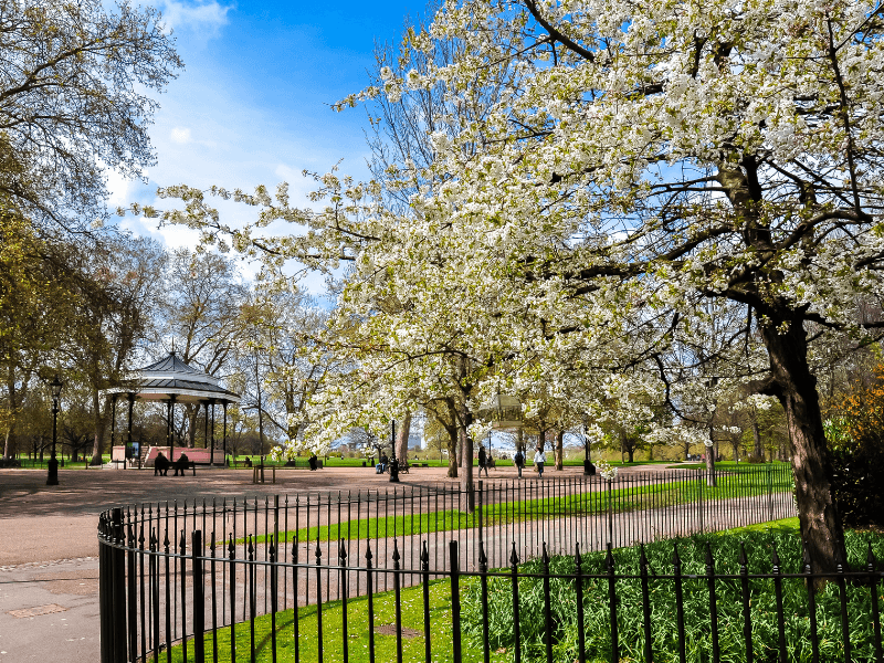 Een park in Amsterdam omringd door bloeiende bomen en groen gras met daaromheen een zwart ijzeren hek op een heldere zonnige zomerdag